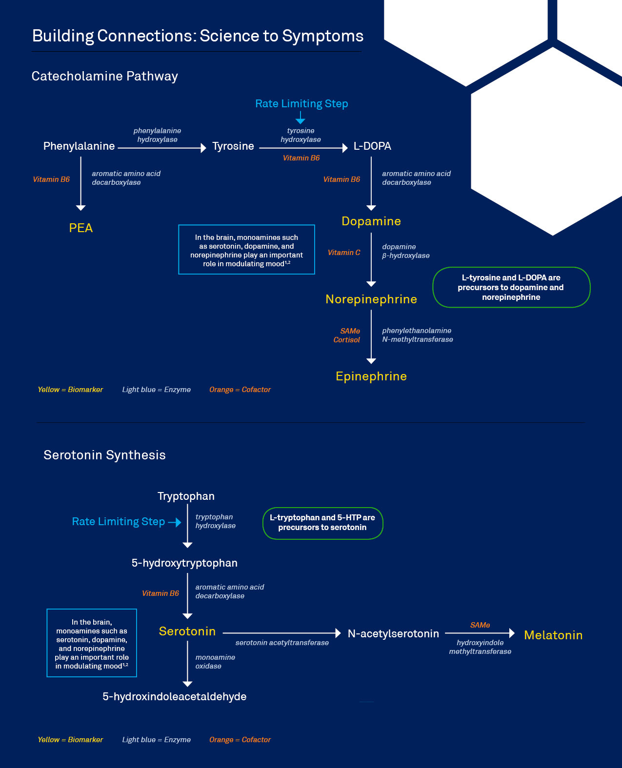 Mood Pathway