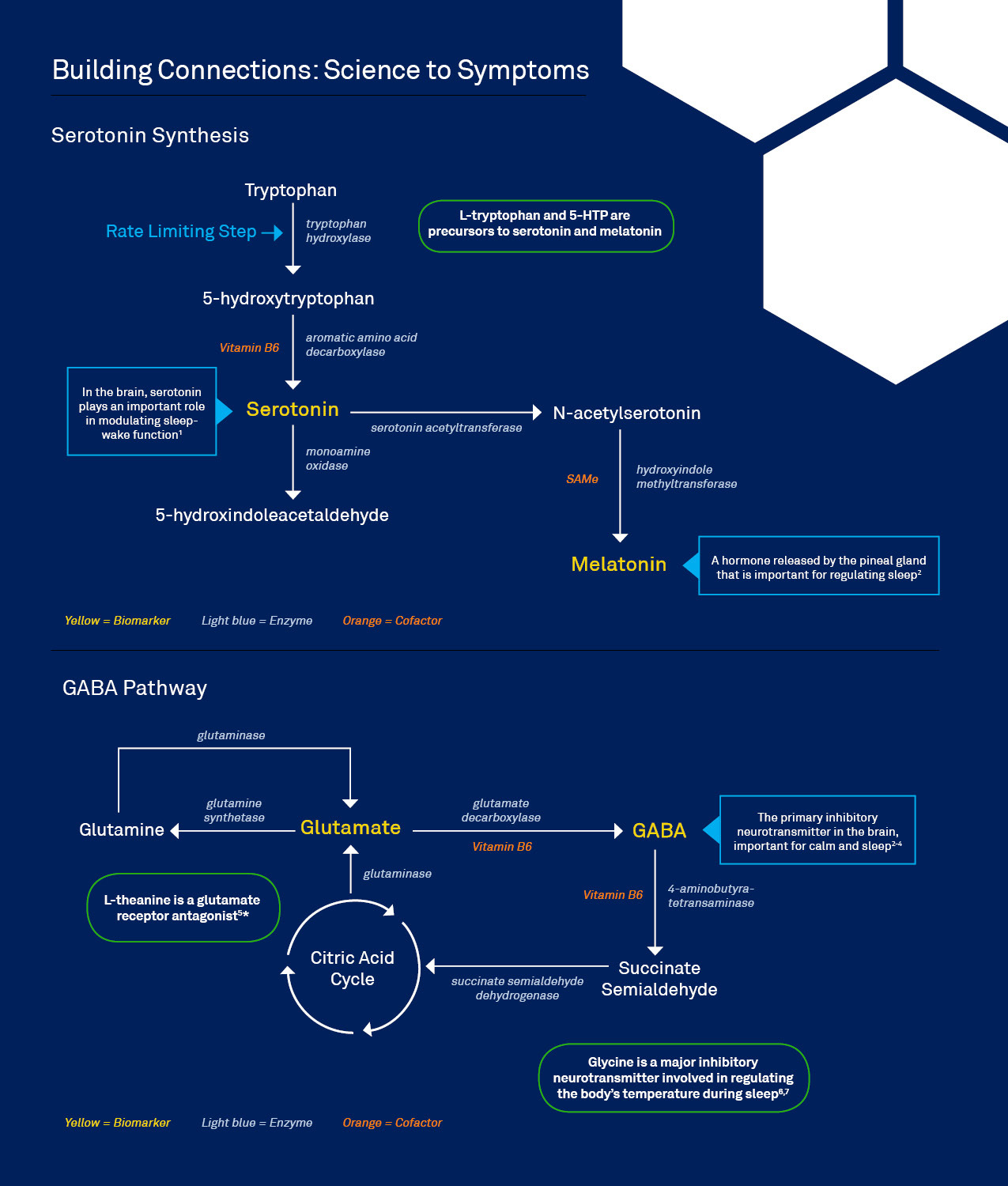 Sleep Pathway