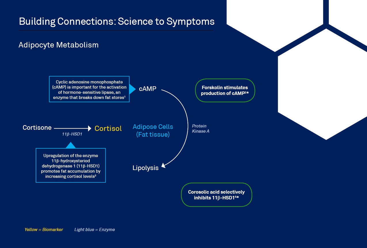 Weight Pathway