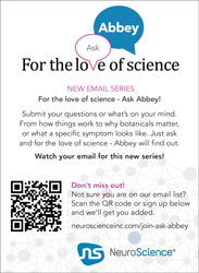 Ask Abbey Flyer