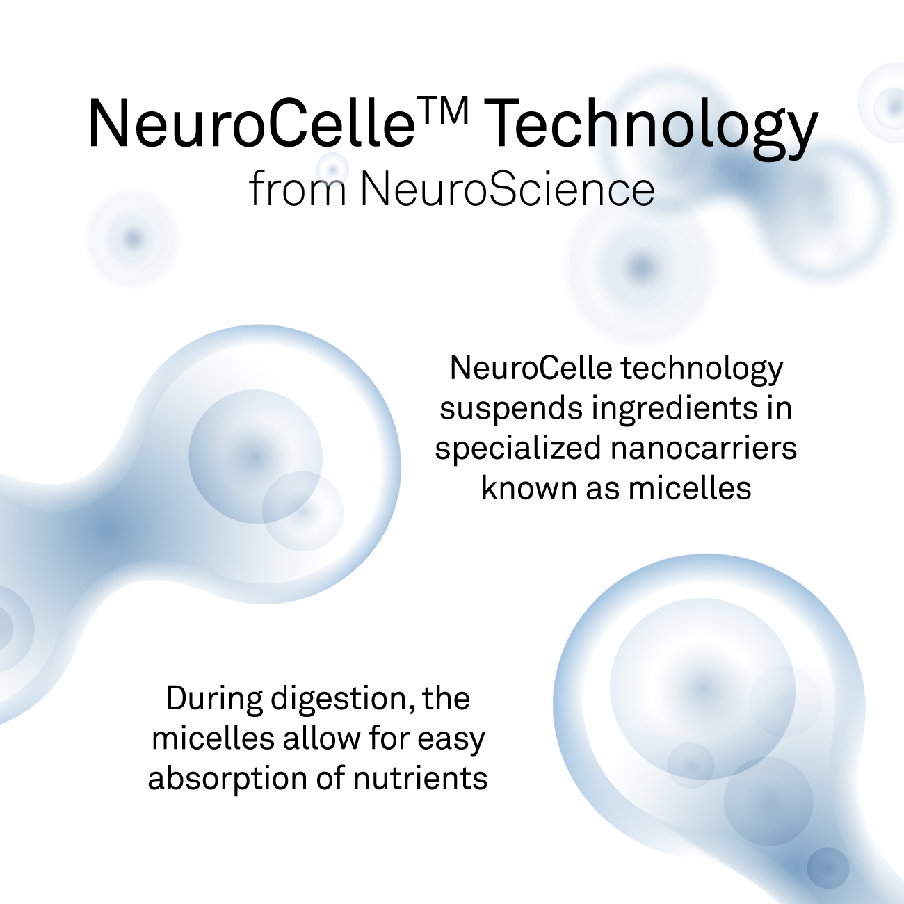 Neuro Celle Web Image