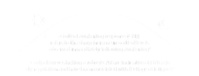 Cortisol curve